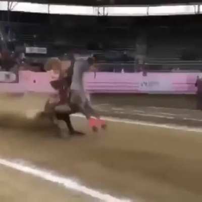 Launched new braking system for horses