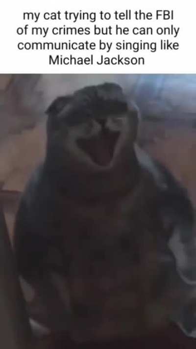 Yo what's up