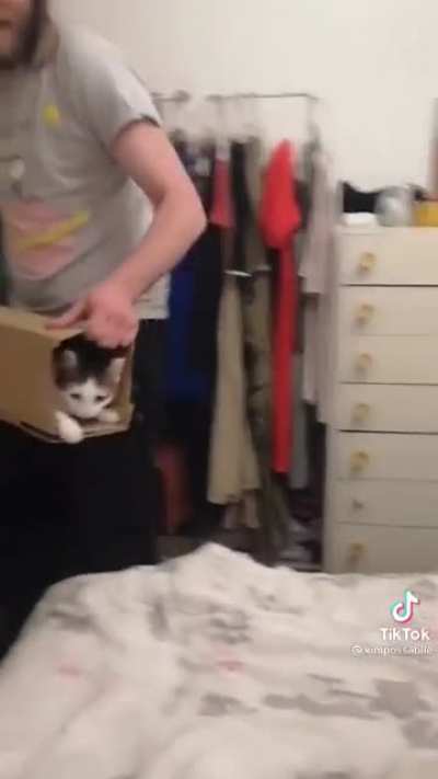 This made my day.
