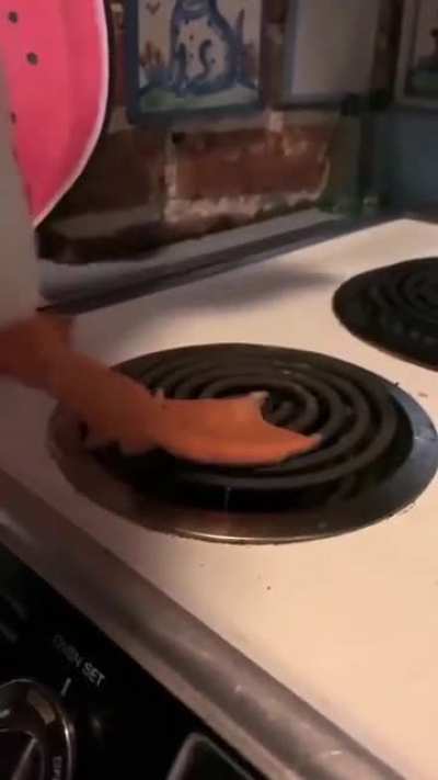 blursed_duck