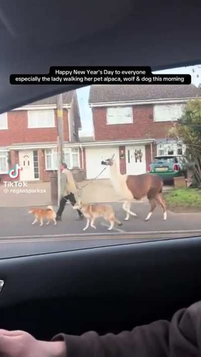 You don't see that every day.