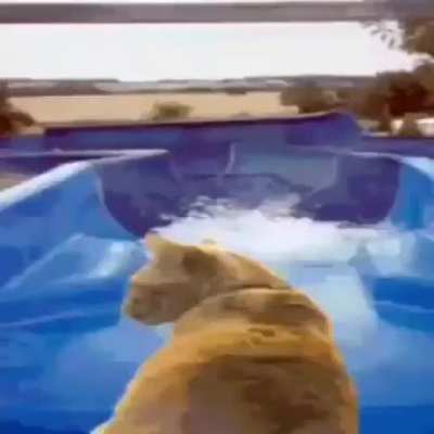 Waterslide rule