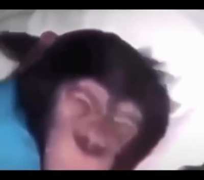 Mono épico 🤑