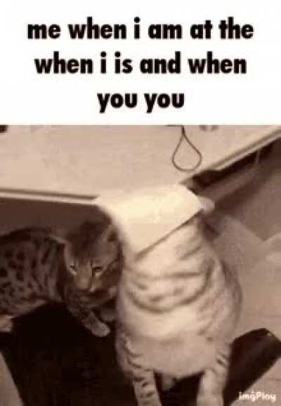 Rule