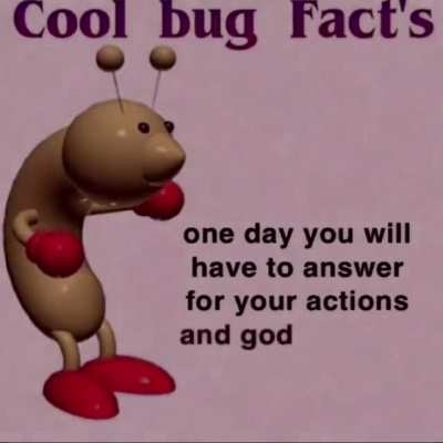 Cool bug rule