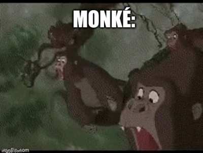 Finally I am one with the monké