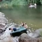 Leap onto rock