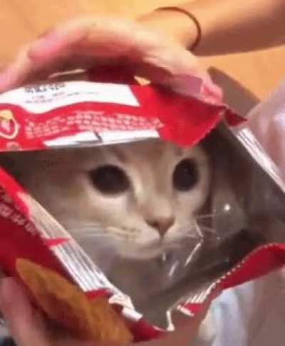 Cat chips