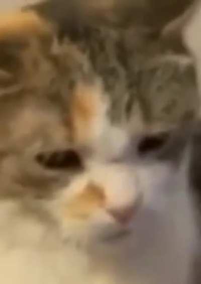 sad