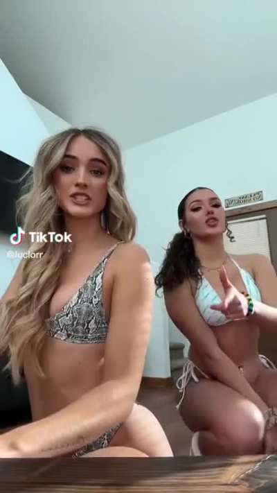 two pawgs 😩