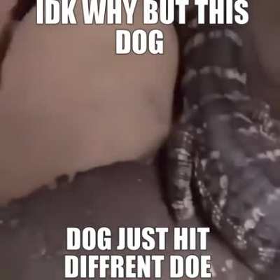 Ayo?