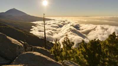 cloud dance