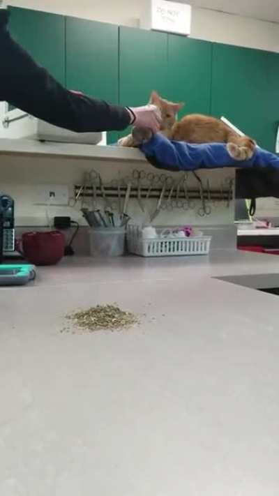 I like these spices