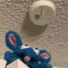 Crisp Rat NOOOO!!!!