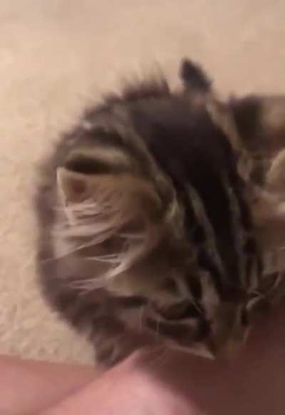Maybe Maybe Maybe