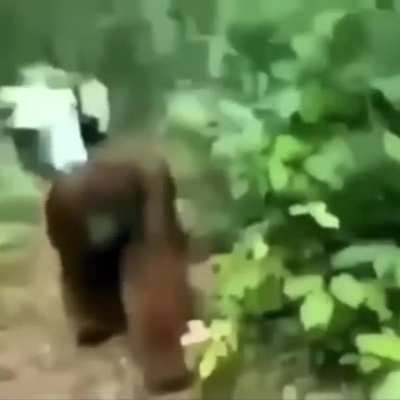 monke is forever