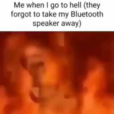 Moldy Speaker