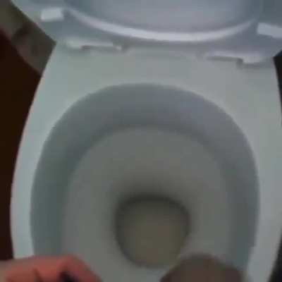 Fibsh