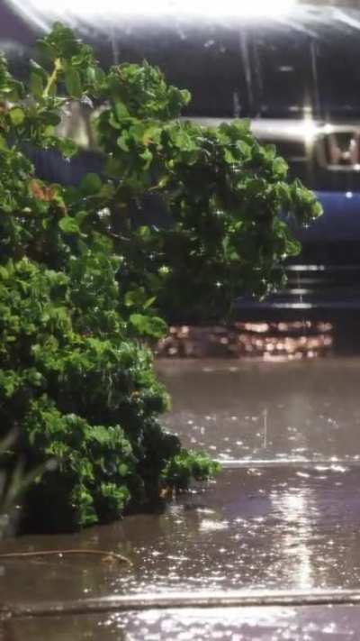 Recorded heavy raining in Phoenix last summer. Image quality wasn’t great due to window screen. Hope you guys enjoy it
