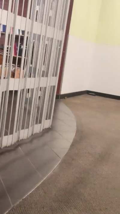 rat in lister study space