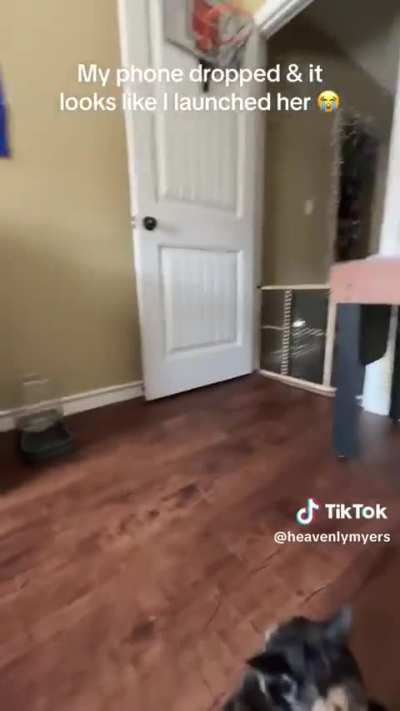 Projectile Wunk
