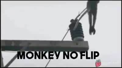 No flip