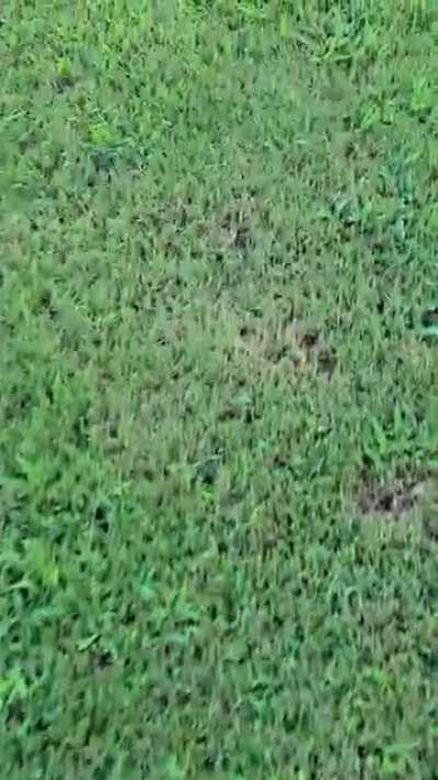 I touched grass at 8:16 p.m.