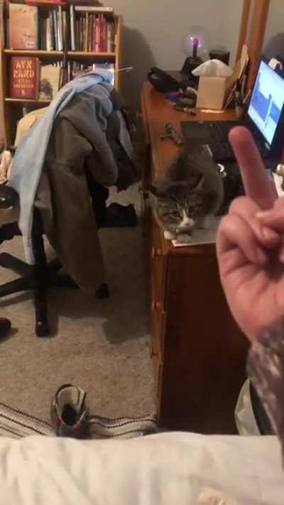 She didn’t appreciate it