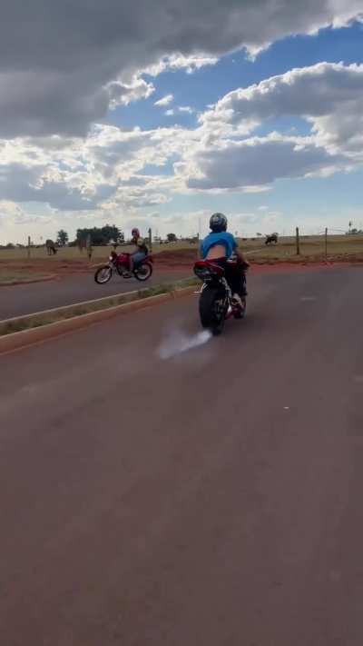 Pop a wheelie wheewww