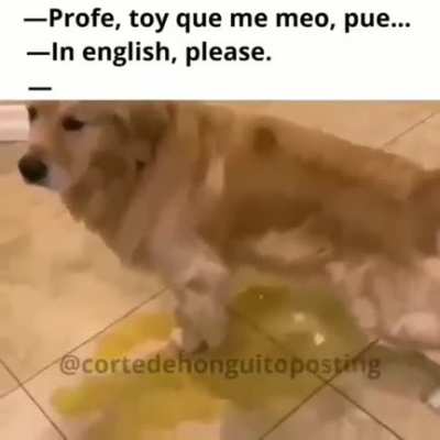 in english please