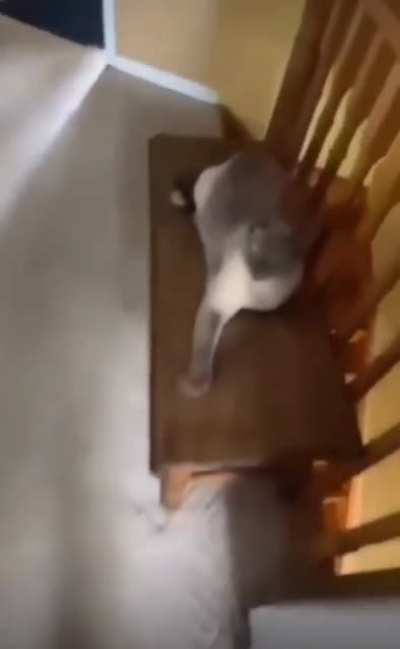 EEEEEEEEEEEEEEE-