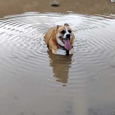 Ripple rule