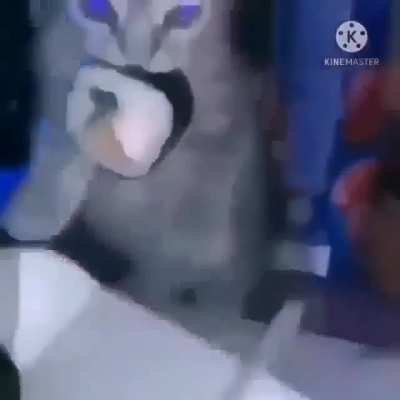 Jaja me asusté porque no me dejaba poner videos aquí y pensé que me habían baneado y al final estoy checando si puedo postear xd