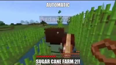 AUTO SUGAR CANE FARM (REMASTERED)