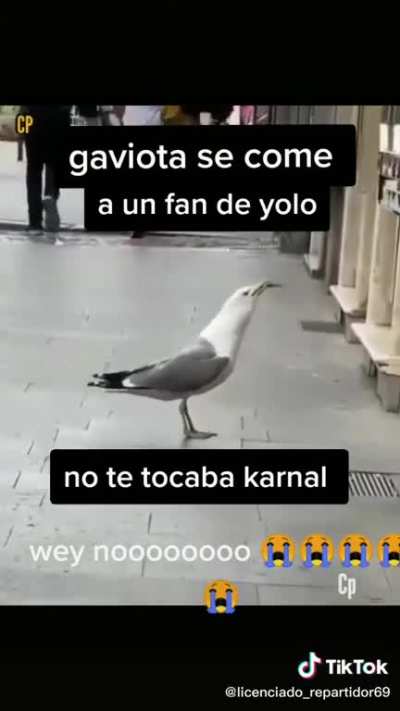 Noooooo😖😖🙏🙏