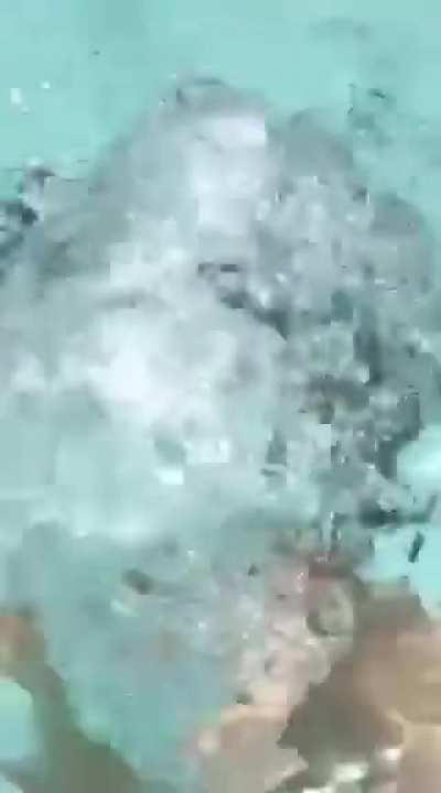 A new method of titty dropping