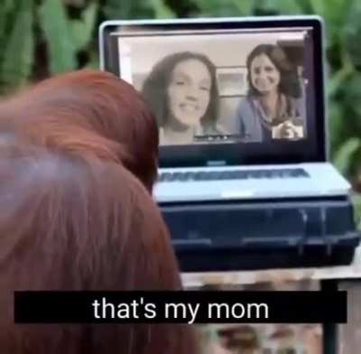 Savage monke