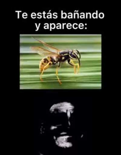 Creepy