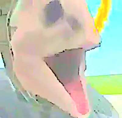 Fishe