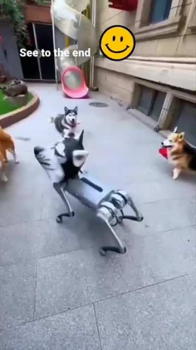 I'll be bark.
