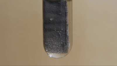 Silver Nitrate + Copper