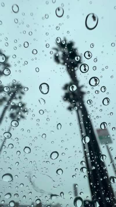 These drops