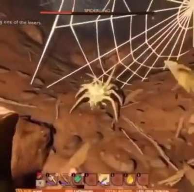 Momma Spider