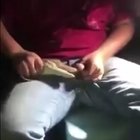 Cursed boat trip