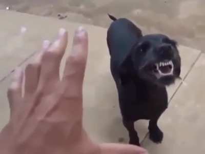 Kkkkk