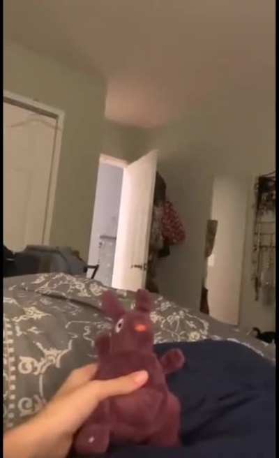 All that for a toy?