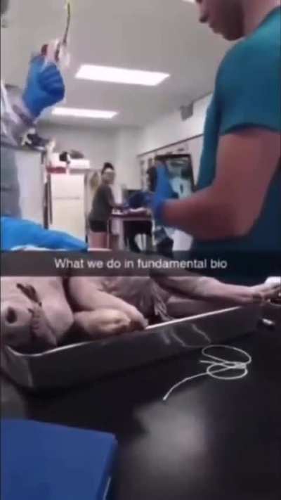 wtf 