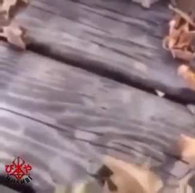 puta diko na alam kung ano na nangyayari