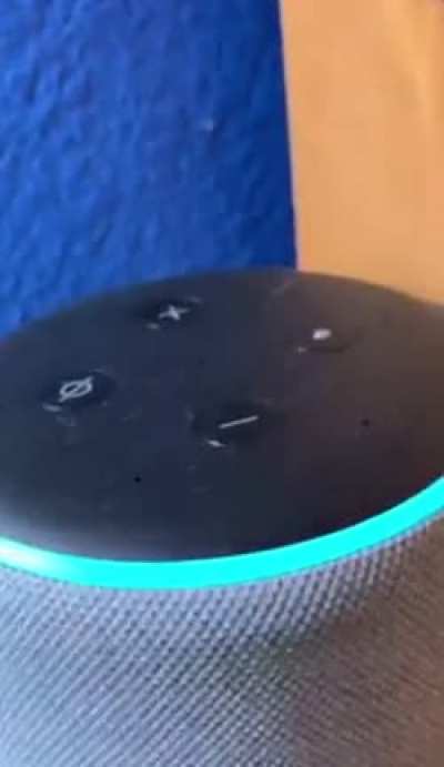 Alexa Rule