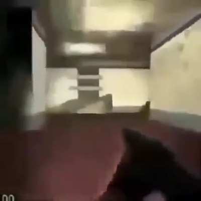 Title